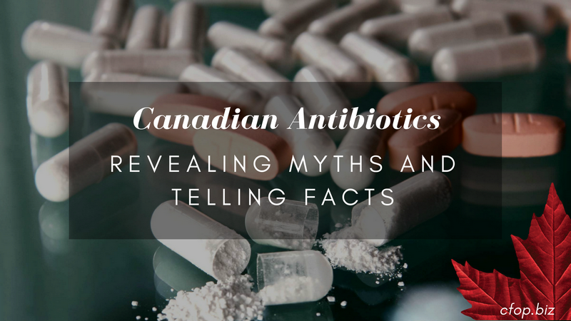 basic information about antibiotics