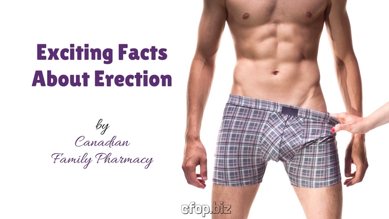 Exciting Facts About Erection