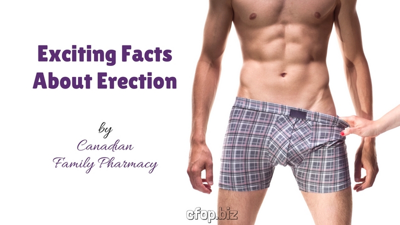 Exciting Facts About Erection